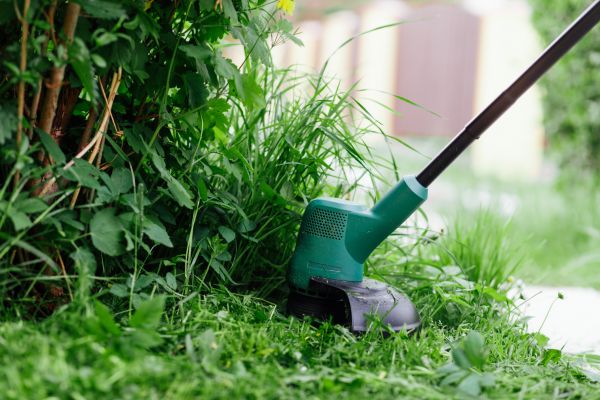Weed Whacking in Deland