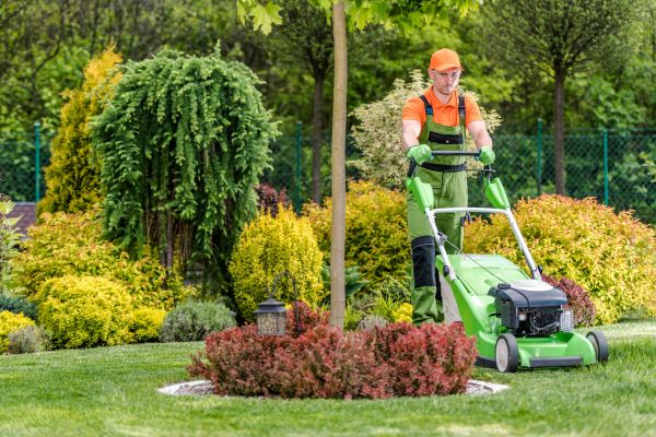 Yard Service in Deland